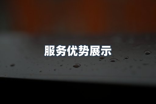服务优势展示
